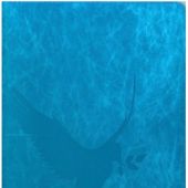 Библия каноническая 076zti (кожа, цвет голубой  голубь, на молнии. с индексами.,серебр..обрез)C16