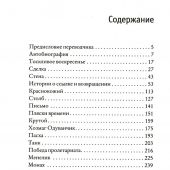 Малый мир. Т. 2. ч. 2. Дон Камилло и его паства