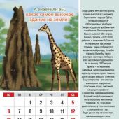 Календарь настенный перекидной на пружине детский 25*35 см. на 2023 год «Чудеса природы»