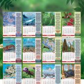 Календарь настенный перекидной на пружине детский 25*35 см. на 2023 год «Чудеса природы»