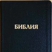 Библия каноническая 048g D4 (черный кожаный гибкий переплет, золотой обрез)
