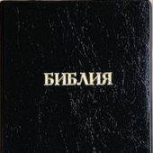 Библия каноническая 048g E3 (черный металлик, исскуствен кожа, золотой. обрез)