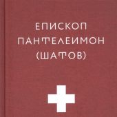 Больничный священник. 3-е изд. (2021)