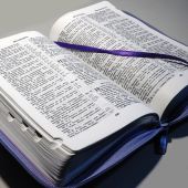 Библия каноническая 055 MZTiG (фиолетовый гибкий перепл. на молнии, золотой обрез,краевые указатели)