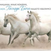Постер 54*21 «Иные колесницами, иные конями, а мы именем Господа Бога нашего хвалимся»