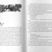 Сова Мещерская (я вернусь завтра)