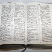 Библия каноническая (Виссон, серый с серебром, термовинил, молн., инд., сереб.обр)