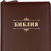 Библия каноническая 053zg (кожа коричневая, пятн., на молн., зол. обр) B2