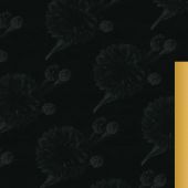 Евтушенко Е. Ты большая в любви. Ты смелая.... (Золотая коллекция поэзии)