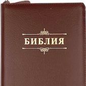 Библия каноническая 055 z (светло-коричневый, золотой обрез, на молнии, надпись Библия)