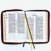 Библия каноническая 048zti (коричн. кожаный перепл, золотой обр, молния, указ) 24048-15