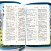 Библия каноническая 048zti (иск кожа фотопечать горы, принтованный обр, молния, указ) 24048-30