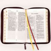 Библия каноническая 048zti (бордовый пятн. кожаный перепл, золотой обр, молния, указ) 24048-4