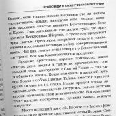 Хлеб небесный. Проповеди о Божественной литургии священномученика Серафима (Звездинского) (2024)