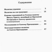 Православный молитвослов с правилом ко свтому причащению (ОД, 2024)