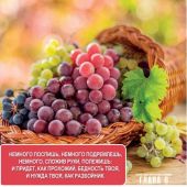 Календарь настенный перекидной на пружине 29*45 см. на 2025 год«Сокровища мудрости