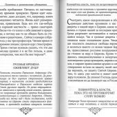 Огоньки смиренного мучениства.: Из наследия новомучеников и исповедников Церкви Русской