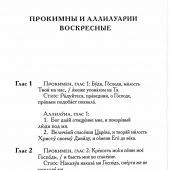 Русский Апостол. Апракос. Апостольские чтения на каждый день... в русском переводе (Феособор)