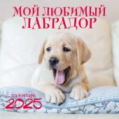 Календарь настенный на 2025 год «Мой любимый лабрадор» (на скрепке перекидной)