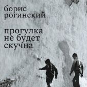 Рогинский Б. Прогулка не будет скучна. Этюды о стихах