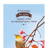 Блокнот на пружине «Я Господь, Бог твой, держу тебя за правую руку твою» (птичк) 9*13 см. (Акварель)