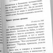 Видящий духом. Свидетельства о преподобном старце Порфирии Кавсокаливите