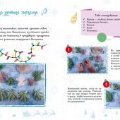 Александровская Н. Мастерская чудес. Поделки к Новому году