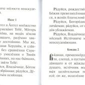 Акафист Пресвятой Богородице в честь иконы Ея «Живоносный источник» (Свято-Елисаветинский)