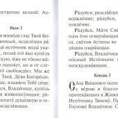 Акафист Пресвятой Богородице в честь иконы Ея «Живоносный источник» (Свято-Елисаветинский)