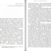 Встреча (Синопсис, Библиополис)