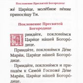 Молитвы и Псалтирь Пресвятой Богородице (карманный ф., голубая с тиснением обл., Благовест, 2024)