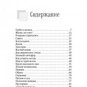Шаг шагнуть