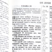Библия каноническая 048g (голубь темно-серая эко кожа,золотой обрез) 25048-44