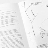 Иванова Е.С. Дети в деревне.: Книга-альбом Худож. А.Негода