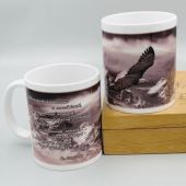 Кружка сувенирная «Утомляются и юноши, и молодые люди падают»