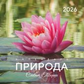 Календарь на 2026 год «Природа славит Творца» настенный, на скрепке
