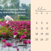 Календарь-домик на 2026 год «Дыхание природы»