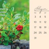 Календарь-домик на 2026 год «Дыхание природы»
