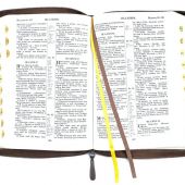 Библия каноническая 076zti (коричневая, слово Библия, молния, указатели) 25076-14