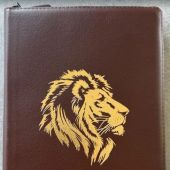 Библия каноническая 076zti (коричневая, золотой лев, молния, указатели) 25076-15