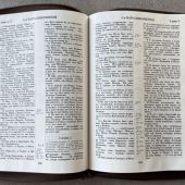 Библия каноническая 076zti (коричневая, золотой лев, молния, указатели) 25076-15