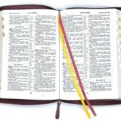 Библия каноническая 076zti (темно-бордовы слово Библия, молния, указатели) 25076-18