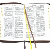 Библия каноническая 076zti (коричневая, Библия с вензелем, молния, указатели) 25076-21