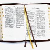 Библия каноническая 076zti (коричневая, термо рамка барокко, молния, указатели))25076-26