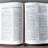 Библия каноническая 076zti (коричневая, Терновый венец, молния, указатели). 25076-27