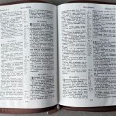 Библия каноническая 076zti (коричневая, термо штамп руки молящегося, молния, указатели) 25076-28