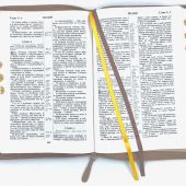 Библия каноническая 076zti (серо-бежевая, термо штамп Терновый венец, молния, указатели)— 25076-36