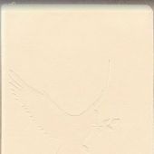 Библия каноническая 076zti (слоновая кость, Голубь, молния, указатели) 25076-37