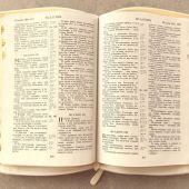 Библия каноническая 076zti (слоновая кость, Голубь, молния, указатели) 25076-37