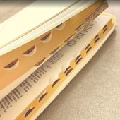 Библия каноническая 076zti (слоновая кость, Голубь, молния, указатели) 25076-37